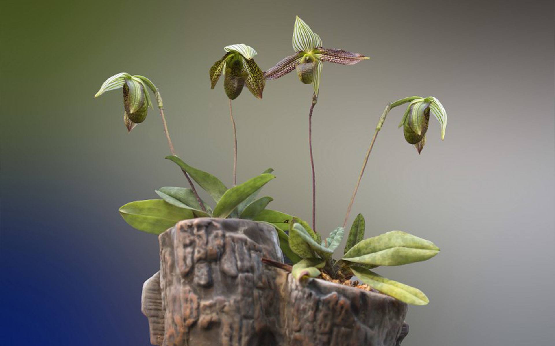 甘肃自考本科考试