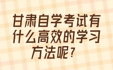 甘肃自学考试有什么高效的学习方法呢?